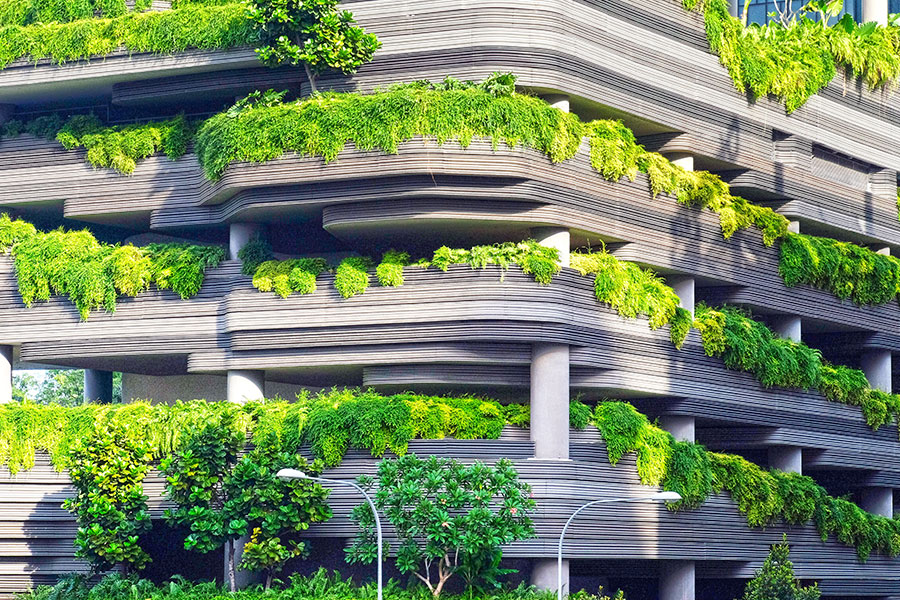 Building with trees Building with trees